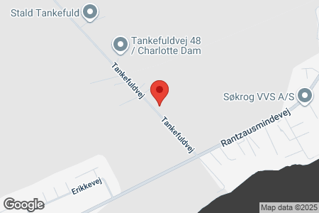 Tankefuldvej 30 Svendborg